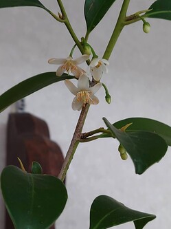 143345_0.jpgのサムネール画像